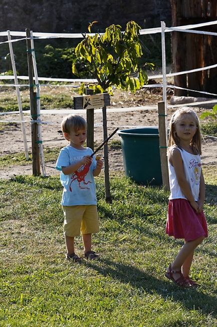 Famille et amis-SEP15-027